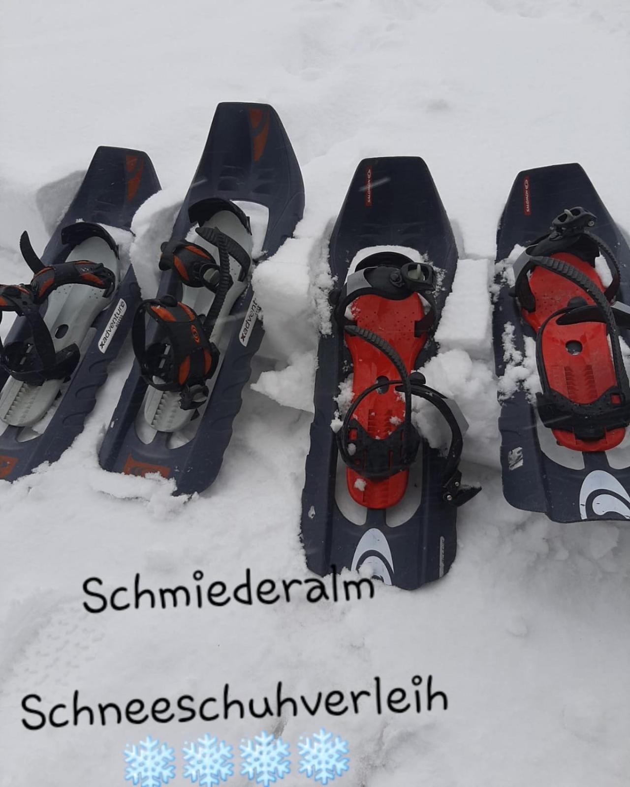 Gasthof Schmiederalm Aldino Exteriör bild
