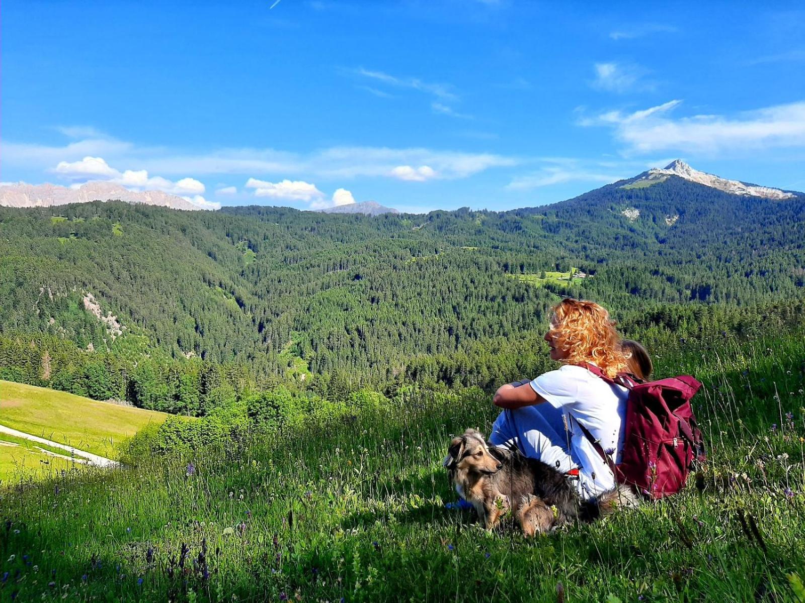 Gasthof Schmiederalm Aldino Exteriör bild